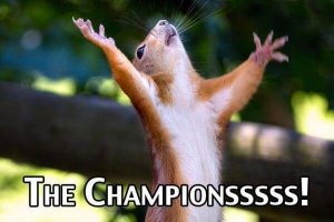 The champions squirrel